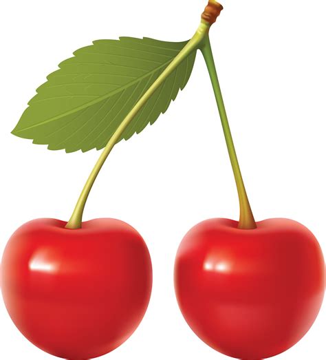 cherry photos|Free cherry Photos & Pictures